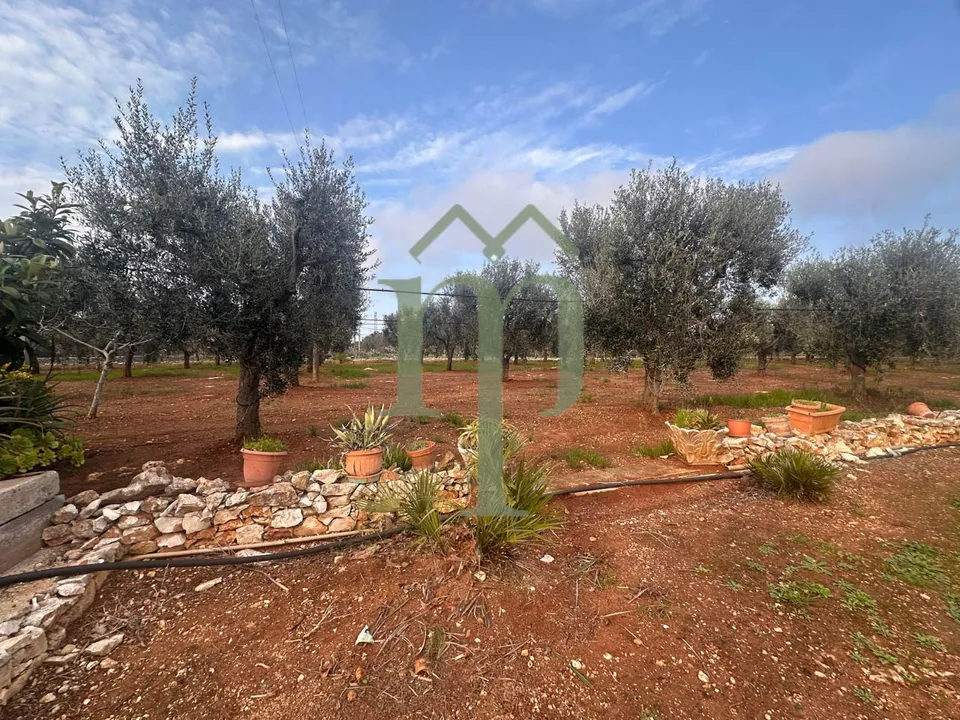 Herregård i Carovigno, Brindisi - bilde 3